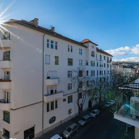 King's Golden Flat *