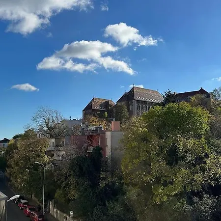 King's Golden Flat *